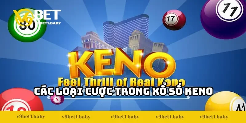 Tìm hiểu các thể loại cược trong xổ số Keno tại V9BET